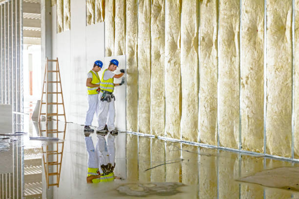 Best Insulation Installation Services in Framingham, MA